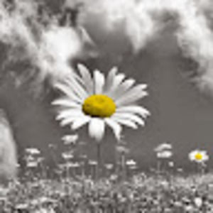 Meet your Posher, Terri